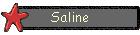 Saline
