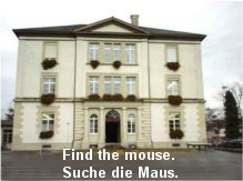 Search Our Mouse!